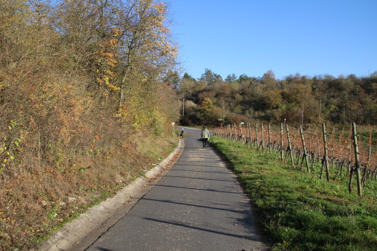 An der Kreuzung führt der HW4-Panoramaweg nach halbrechts weiter (Bild: Björn Neckermann)