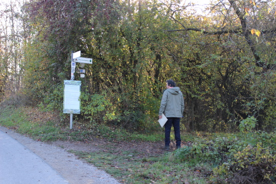 Neben den HW4-Emblemen ist auch ein Schild mit der Auschrift "Panoramaweg" ersichtlich (Bild: Björn Neckermann)