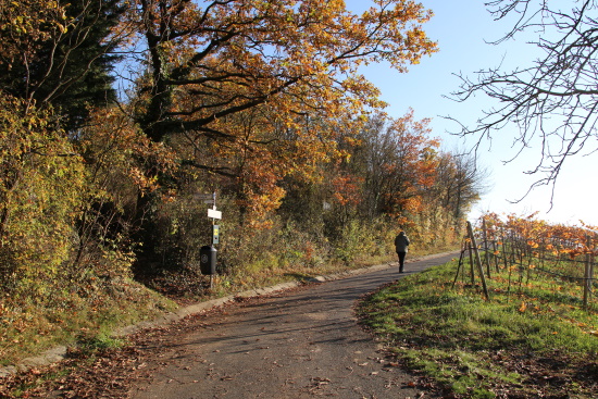 Der HW4-Panoramaweg führt geradeaus weiter (Bild: Björn Neckermann) Der HW4-Panoramaweg führt geradeaus weiter (Bild: Björn Neckermann)