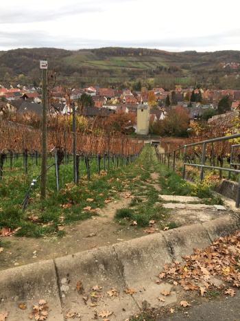 Wichtig für die Wanderer die von Kleinochsenfurt kommen - hier nicht den Abstieg nach unten verpassen (Bild: Björn Neckermann)