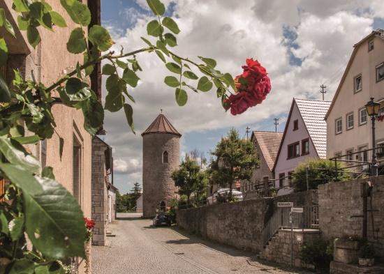 Unterer Harbach mit Zentturm (Bild: Stadt Aub)