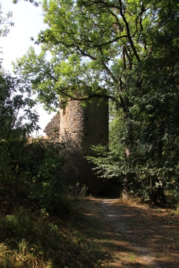 Der Rimbachturm - Teil in der nordöstlichen Stadtmauer (Bild: Björn Neckermann) Der Rimbachturm - Teil in der nordöstlichen Stadtmauer (Bild: Björn Neckermann)