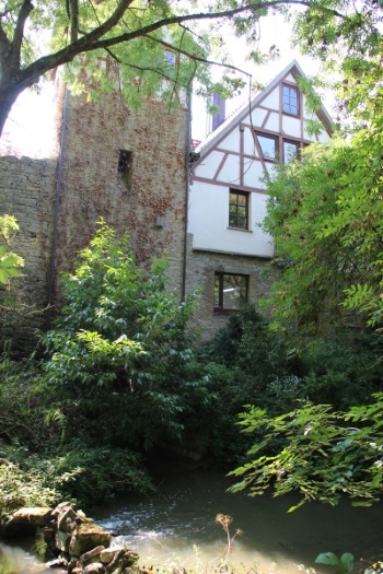 Teil der Stadtmauer mit Hirtenturm (Bild: Björn Neckermann) Teil der Stadtmauer mit Hirtenturm (Bild: Björn Neckermann)