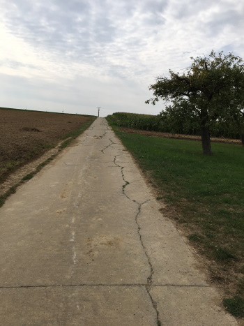 Der Wirtschaftsweg führt Sie zu einer weiteren Ortsverbindungsstraße (Bild: Björn Neckermann)