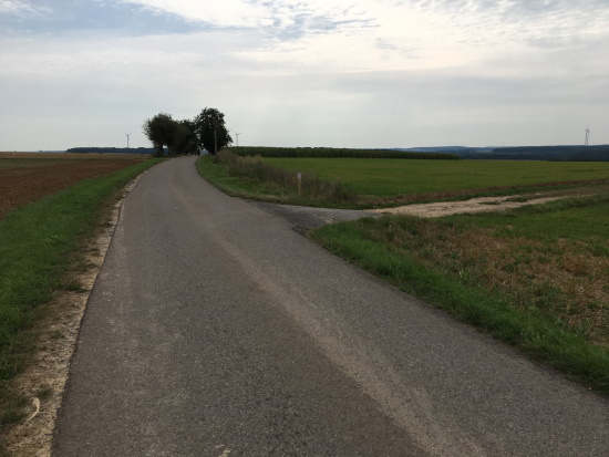 Am Hinweispfahl die Ortsverbindungsstraße nach rechts verlassen (Bild: Björn Neckermann)