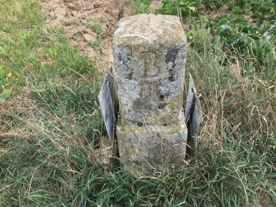 Großer Grenz- oder Landesstein entlang der Landesgrenze (Bild: Björn Neckermann)