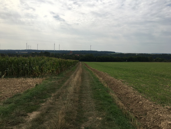 Die Burg Brauneck rückt in Ihr Blickfeld (Bild: Björn Neckermann)