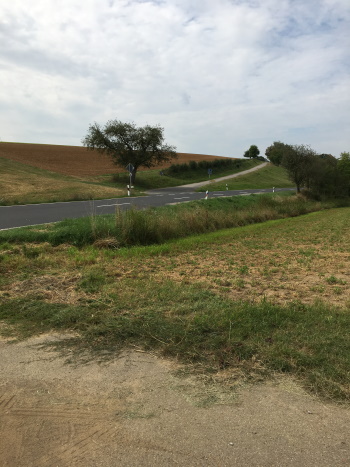 Hier müssen Sie die stark befahrene Staatsstraße queren (Bild: © Björn Neckermann) Hier müssen Sie die stark befahrene Staatsstraße queren (Bild: © Björn Neckermann)