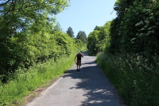 Der Straßenlärm liegt hinter uns - bald befinden wir uns inmitten der Weinberge (Bild: Björn Neckermann) Der Straßenlärm liegt hinter uns - bald befinden wir uns inmitten der Weinberge (Bild: Björn Neckermann)