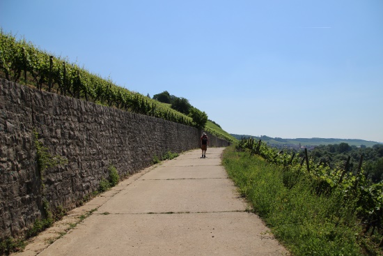 An den Wegrändern entlang nach Schmetterlingen Ausschau halten (Bild: Björn Neckermann)