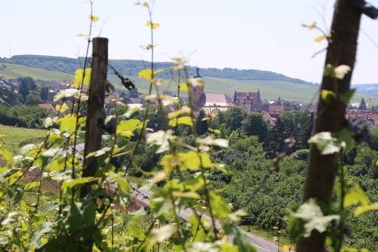 Sommerhausen - ein mittelalterlicher, sehenswerter Weinort (Bild: Björn Neckermann)