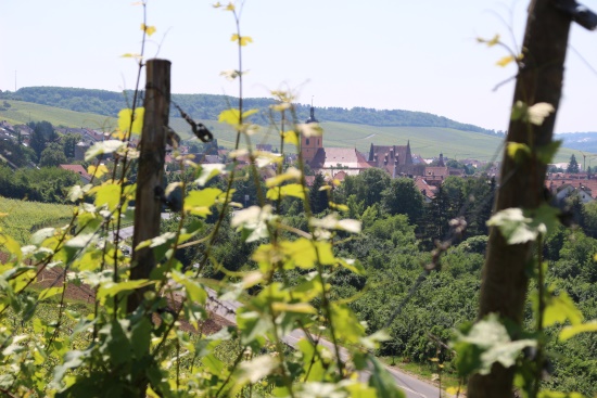 Sommerhausen - ein mittelalterlicher, sehenswerter Weinort (Bild: Björn Neckermann) Sommerhausen - ein mittelalterlicher, sehenswerter Weinort (Bild: Björn Neckermann)