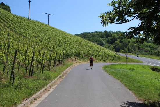 Sommerhausen ist erreicht - nehmen Sie sich ein wenig Zeit - es lohnt sich (Bild: Björn Neckermann) Sommerhausen ist erreicht - nehmen Sie sich ein wenig Zeit - es lohnt sich (Bild: Björn Neckermann)