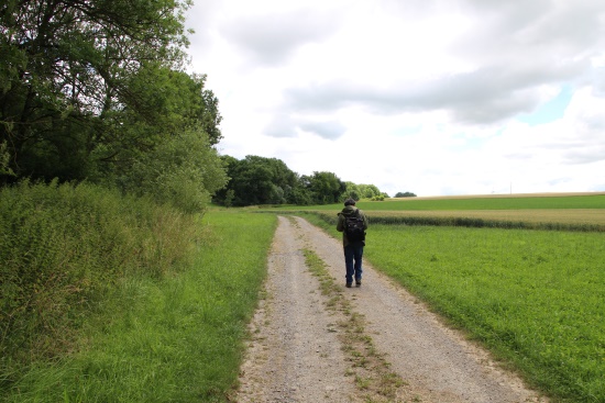 Die Landschaft öffnet sich, links Waldrand, rechts offene Feldflur (Bild: Björn Neckermann)