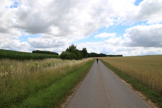 Blühender Gewässerstreifen - ein wenig Natur in dieser ausgeräumten Kultursteppe (Bild: Björn Neckermann) Blühender Gewässerstreifen - ein wenig Natur in dieser ausgeräumten Kultursteppe (Bild: Björn Neckermann)