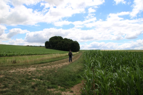 Abwechslungsreiche Wanderung durch die Gauhöhen (Bild: Björn Neckermann) Abwechslungsreiche Wanderung durch die Gauhöhen (Bild: Björn Neckermann)