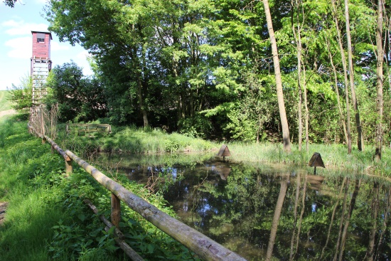 Neuer Weg: Ab hier verläuft der HW4 bis Hopferstadt auf neuer Streckenführung (Bild: Björn Neckermann) Neuer Weg: Ab hier verläuft der HW4 bis Hopferstadt auf neuer Streckenführung (Bild: Björn Neckermann)