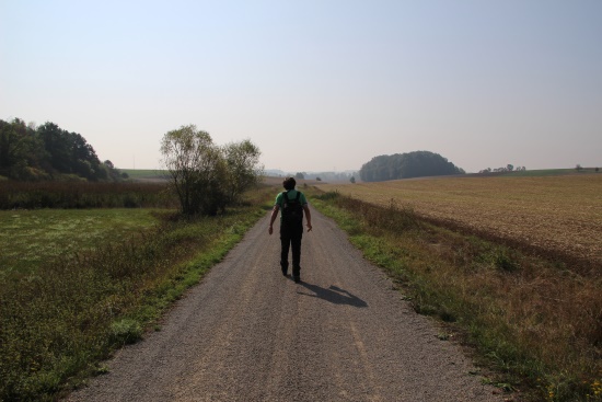 Auf geschottertem Wirtschaftsweg geradeaus weiter (Bild: © Björn Neckermann)