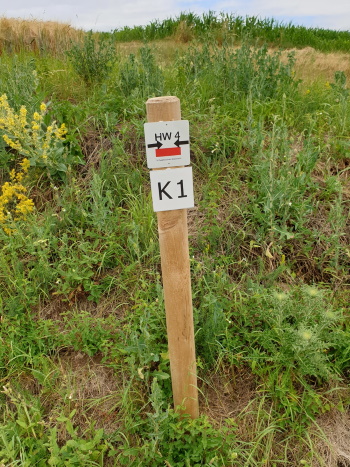 Zusätzliche Hinweispfähle - als Erinnerungshinweise - wurden angebracht (Bild: © Björn Neckermann) Zusätzliche Hinweispfähle - als Erinnerungshinweise - wurden angebracht (Bild: © Björn Neckermann)