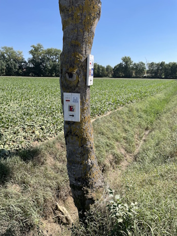 Neue Hinweistafel - Richtung Aub (Bild: © Neckermann)