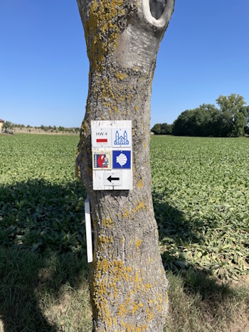 Neue Hinweistafel - Richtung Gülchsheim (Bild: © Neckermann)