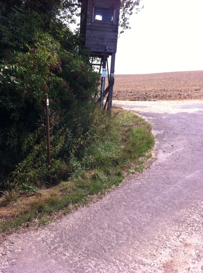 ACHTUNG: Ab hier neuer Streckenabschnitt in Richtung Hopferstadt (Bild: Björn Neckermann)