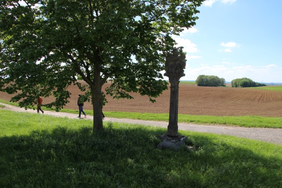 An der Wegekreuzung biegt der HW4 nach rechts ab (Bild: Björn Neckermann)