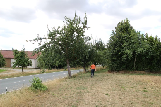 Der Wiesenweg mündet ein in die Siedlung (Bild: Björn Neckermann)