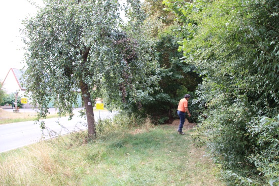 Hier biegt der HW4 nach rechts ab in die Siedlung (Bild: Björn Neckermann) Hier biegt der HW4 nach rechts ab in die Siedlung (Bild: Björn Neckermann)