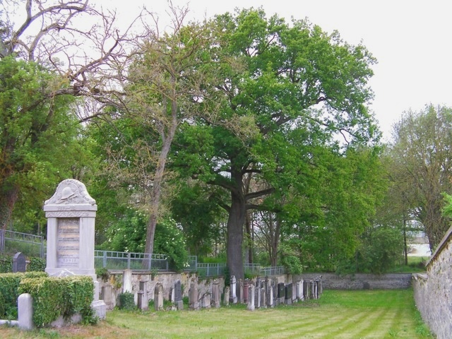 Der Jüdische Friedhof zu Aub - der dankenswerterweise von der Stadt gepflegt wird (Bild: © Manfred Müller)