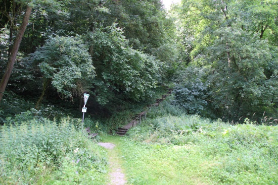 Hier heißt es aufgepasst: Links abbiegen 64 Stufen hinauf zum Weiler Kaltenhof (Bild: Björn Neckermann) Hier heißt es aufgepasst: Links abbiegen 64 Stufen hinauf zum Weiler Kaltenhof (Bild: Björn Neckermann)