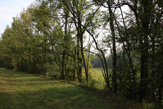 Weidenlaubsänger, Kleiber, Grünspecht und Co. begleiten Sie entlang des Mühlbaches (Bild: © Björn Neckermann)