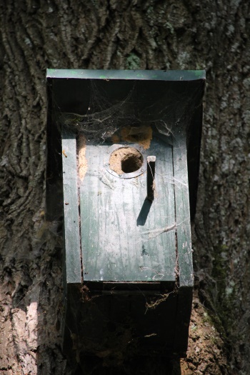 Entdeckt entlang des HW4: Kleiber-Nistkasten (Bild: © Björn Neckermann) Entdeckt entlang des HW4: Kleiber-Nistkasten (Bild: © Björn Neckermann)
