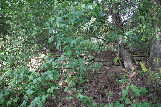 Auch hier wurde Wein angebaut (Bild: © Björn Neckermann) Auch hier wurde Wein angebaut (Bild: © Björn Neckermann)
