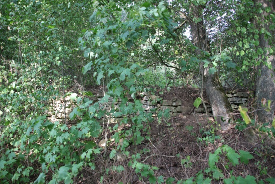 Auch hier wurde Wein angebaut (Bild: © Björn Neckermann)