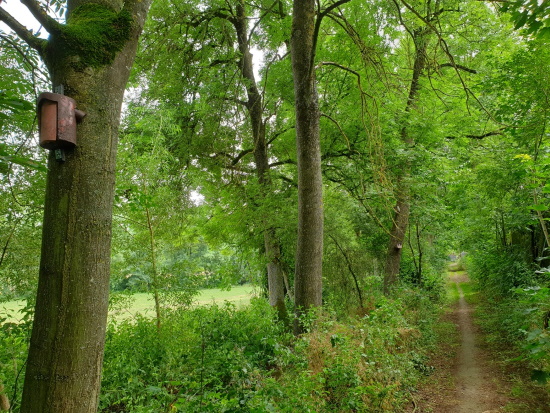 Viele sichere Nistkästen für unsere bedrohte Vogelwelt - dank vieler Sponsoren (Bild: © Björn Neckermann) Viele sichere Nistkästen für unsere bedrohte Vogelwelt - dank vieler Sponsoren (Bild: © Björn Neckermann)