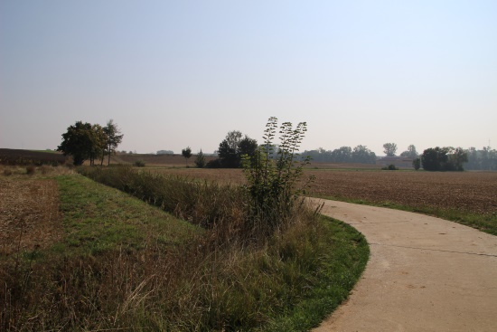 Biegen Sie hier nach links ab und bleiben auf dem befestigten Weg (Bild: © Björn Neckermann)