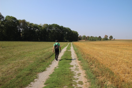 Auf Wiesenweg in Richtung Gehölzrand und Fischgewässer (Bild: © Björn Neckermann) Auf Wiesenweg in Richtung Gehölzrand und Fischgewässer (Bild: © Björn Neckermann)
