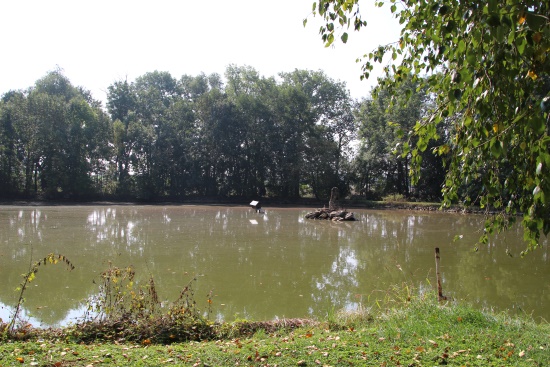 Eisvogel, Biber, Frosch und Lurch - großartige Natur (Bild: ©  Björn Neckermann)