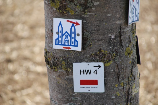 Weitere Wanderwege führen in Richtung Aub (Bild: © Björn Neckermann) Weitere Wanderwege führen in Richtung Aub (Bild: © Björn Neckermann)