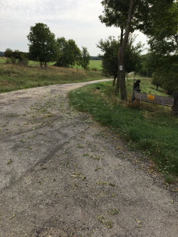Weiter geht es in Richtung des Weilers Niedersteinach (Bild: © Björn Neckermann) Weiter geht es in Richtung des Weilers Niedersteinach (Bild: © Björn Neckermann)