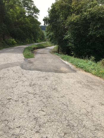 Hier die rechte Straße nehmen, die Sie in den Ort führt (Bild: © Björn Neckermann) Hier die rechte Straße nehmen, die Sie in den Ort führt (Bild: © Björn Neckermann)