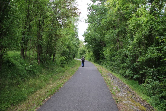 Auf der ehemaligen Gaubahntrasse - erlebnisreicher Waldspaziergang (Bild: Björn Neckermann)