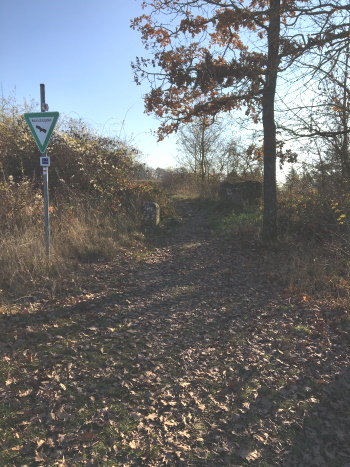 Hier schlängelt sich der HW4-Panoramaweg durch (Bild: Björn Neckermann) Hier schlängelt sich der HW4-Panoramaweg durch (Bild: Björn Neckermann)