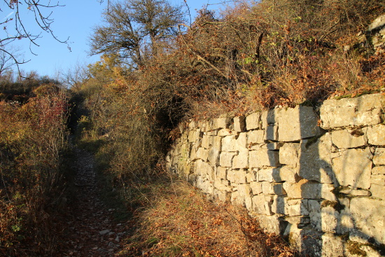 Die alten Trockensteinmauern stellen auch einen wichtigen Lebensraum dar (Bild: Björn Neckermann)