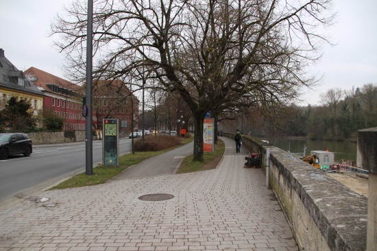 Nun führt der HW4 oberhalb des Mains weiter - schöner Baumbestand entlang des Weges (Bild: Björn Neckermann)