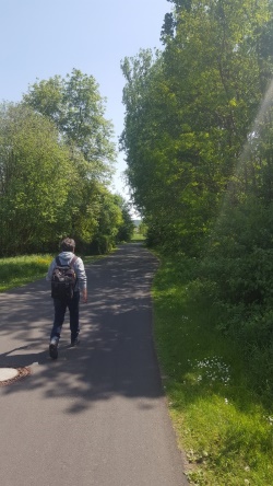 Landschaft genießen - Wandern am Main (Bild: Sören Neckermann)