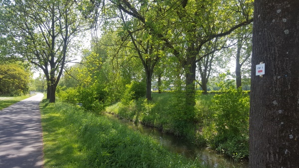 Umgehungsbach für wandernde Fischarten (Bild: Sören Neckermann)