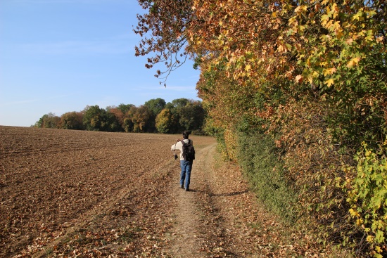 Inmitten von offener Feldflur und Waldrand - der HW4 (Bild: Björn Neckermann)