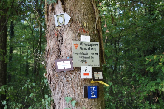 Schilderbaum - es gibt halt viele Wege (Bild: Björn Neckermann)